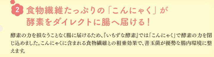 いちずな酵素